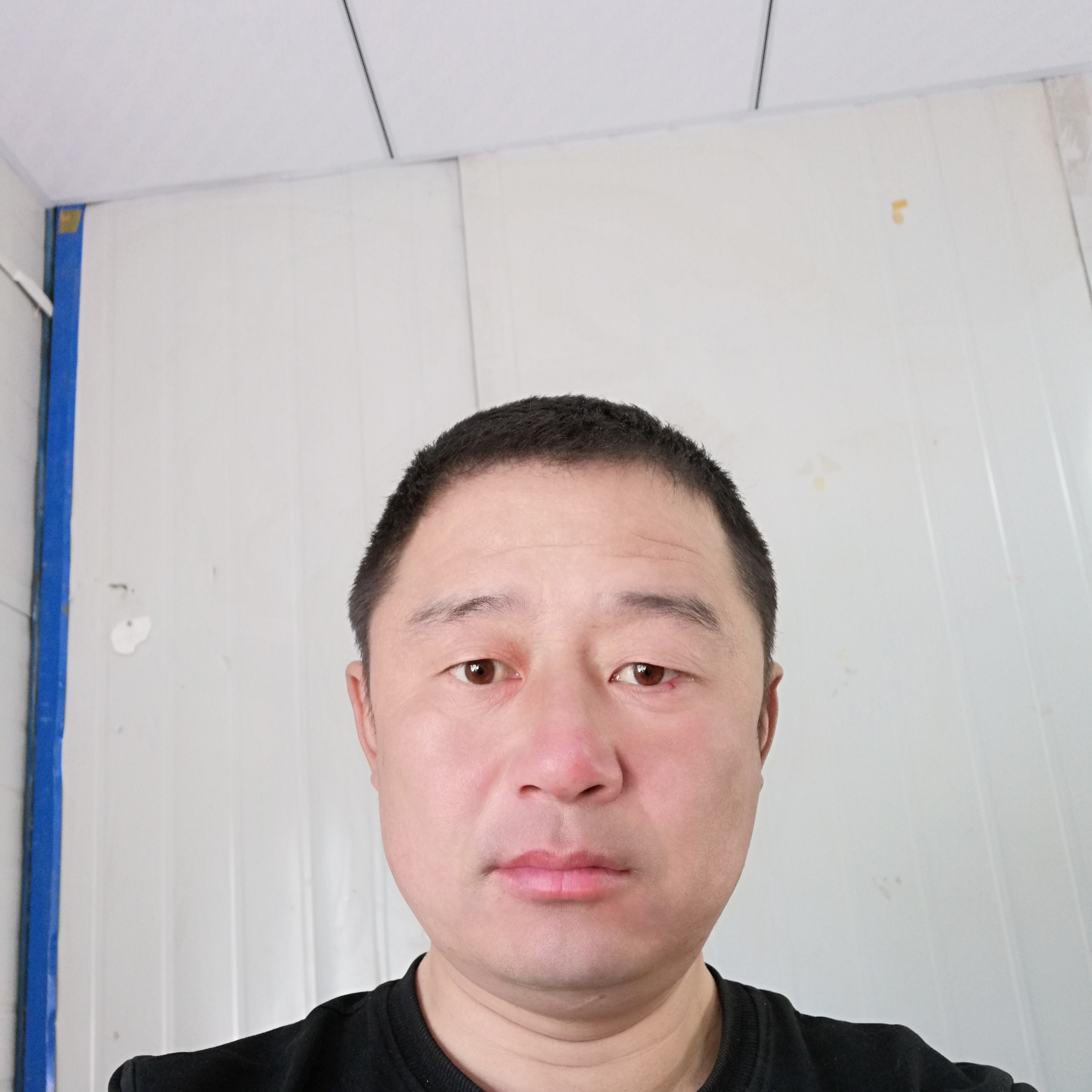 红尘月光的照片