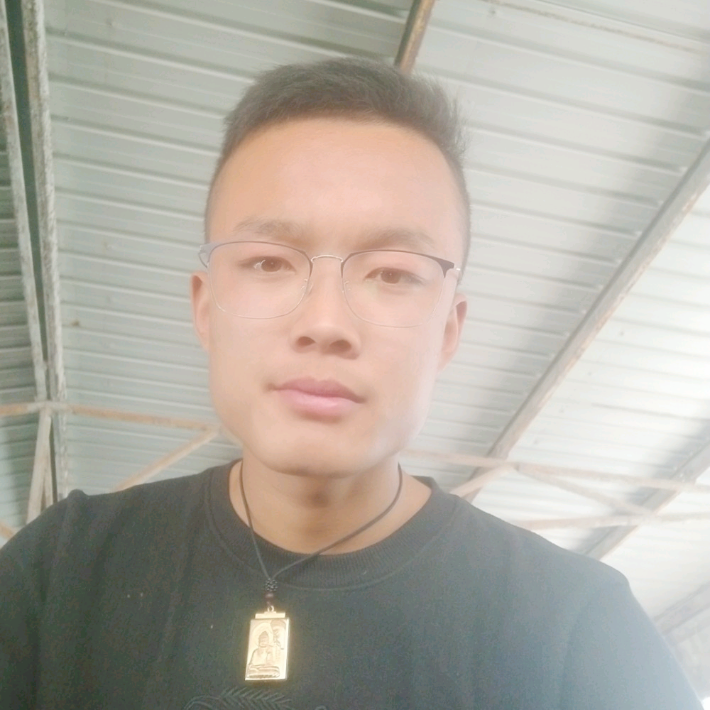 砖头聪慧的照片