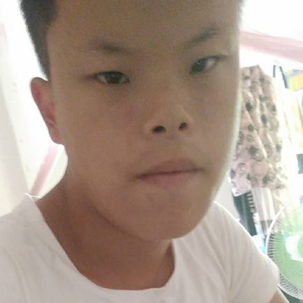方盒等于无情的照片