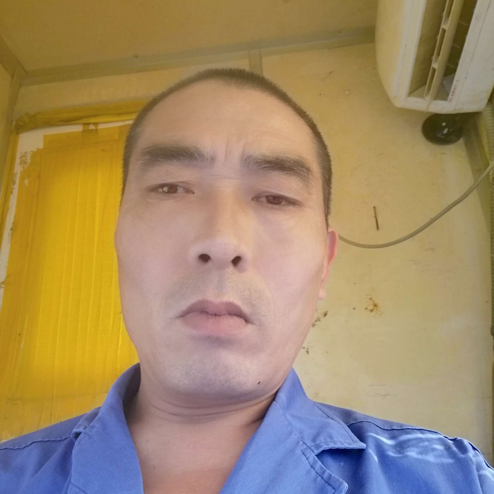 冷静扯大雁的照片