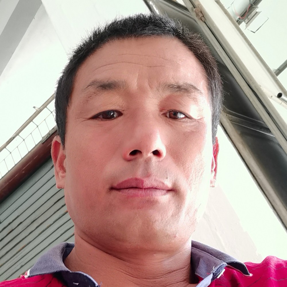 太阳的妖娆的照片