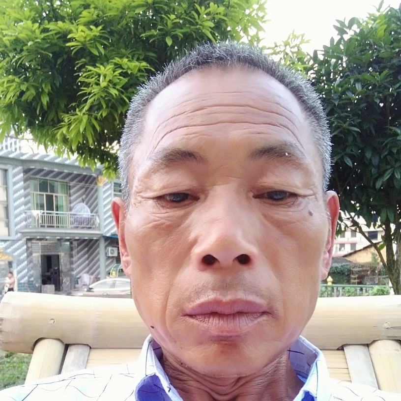 麦片愤怒的照片