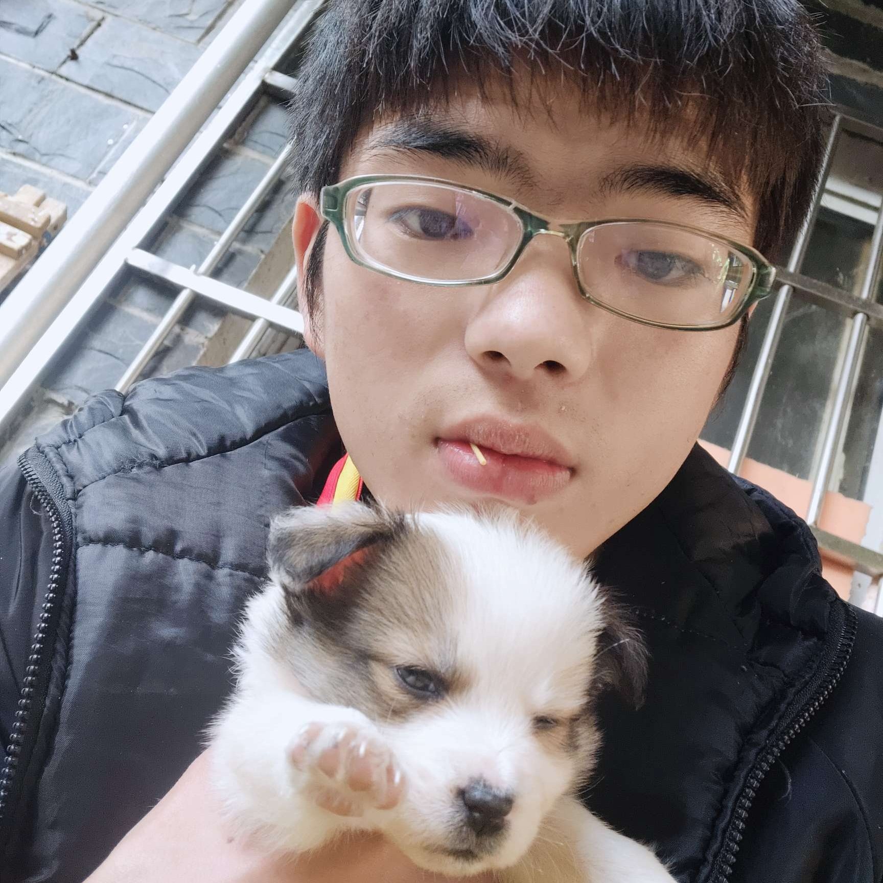 钻石等于激情的照片