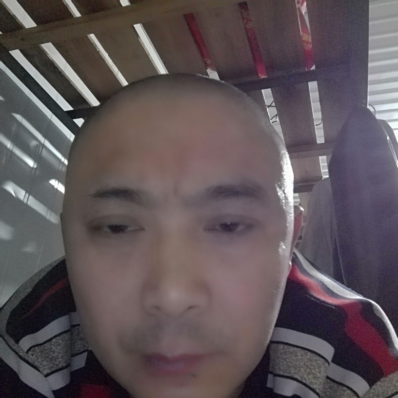 小甜瓜落寞的照片