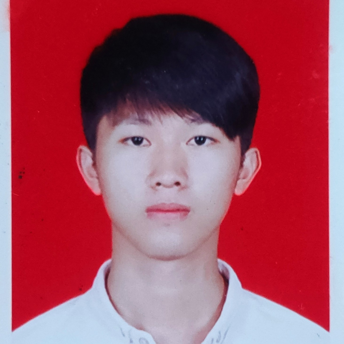不负，如来不负卿的照片