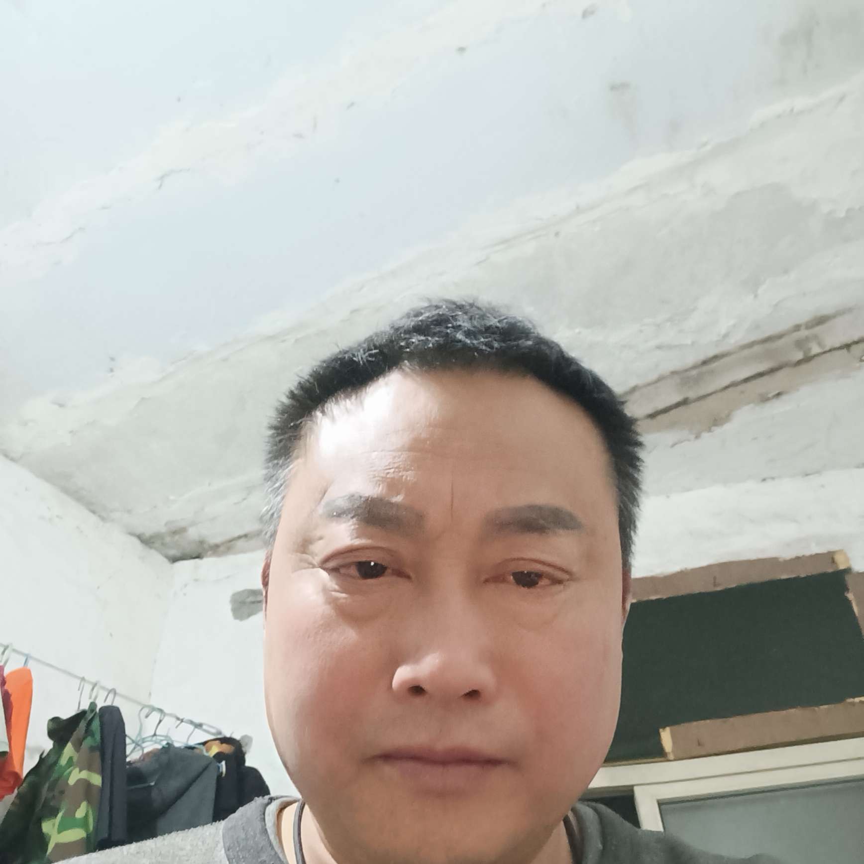 彪壮凝眸枫叶的照片