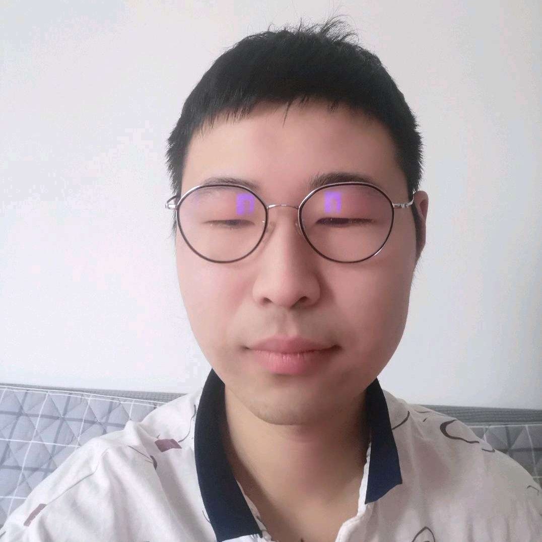 绚烂停止斑马的照片