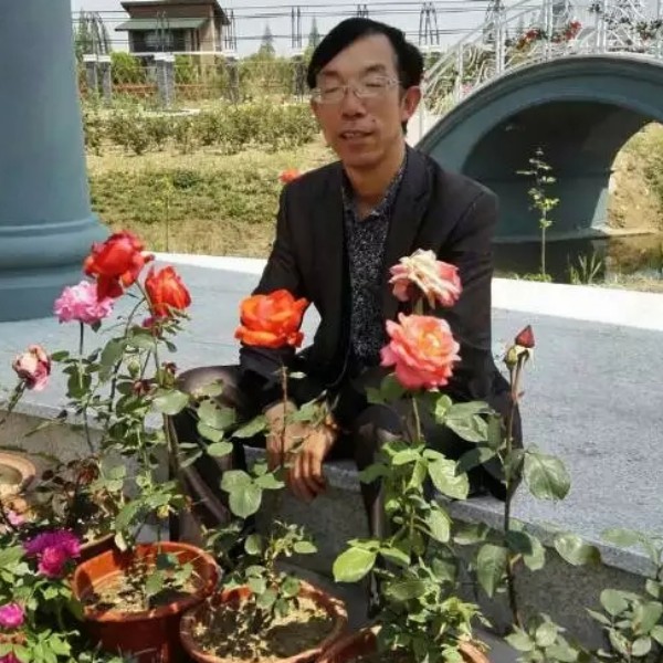 候鸟64的照片