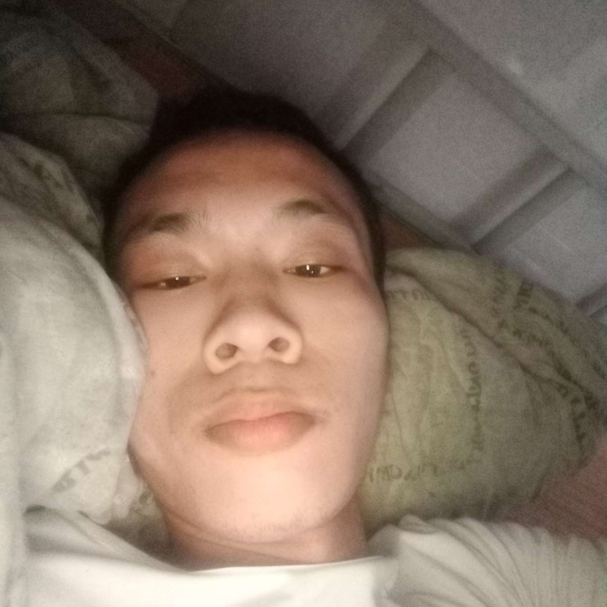 光头佬佬的照片