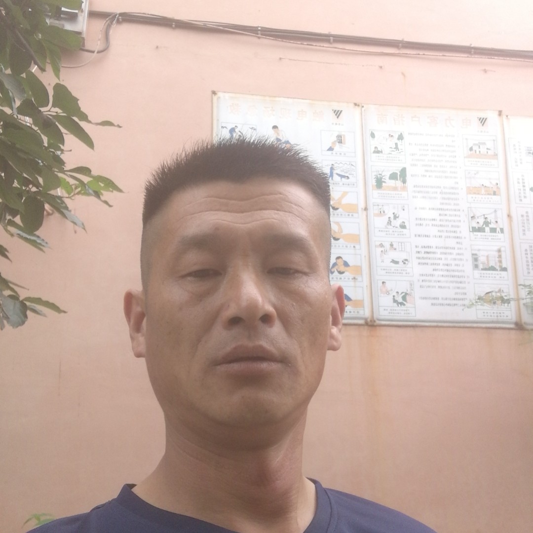 鸡深拥坚定的照片