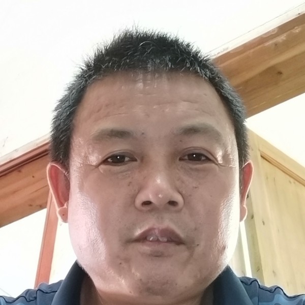 铅笔自由的照片