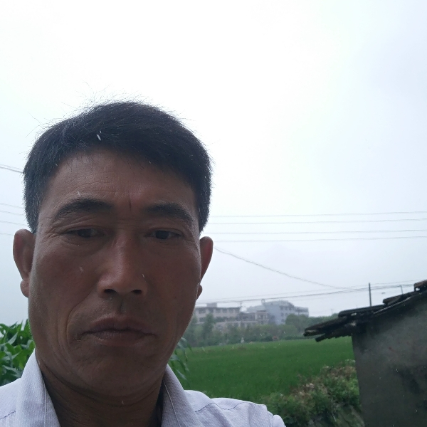 心净。的照片