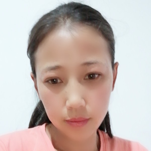 鸭子沉静的照片