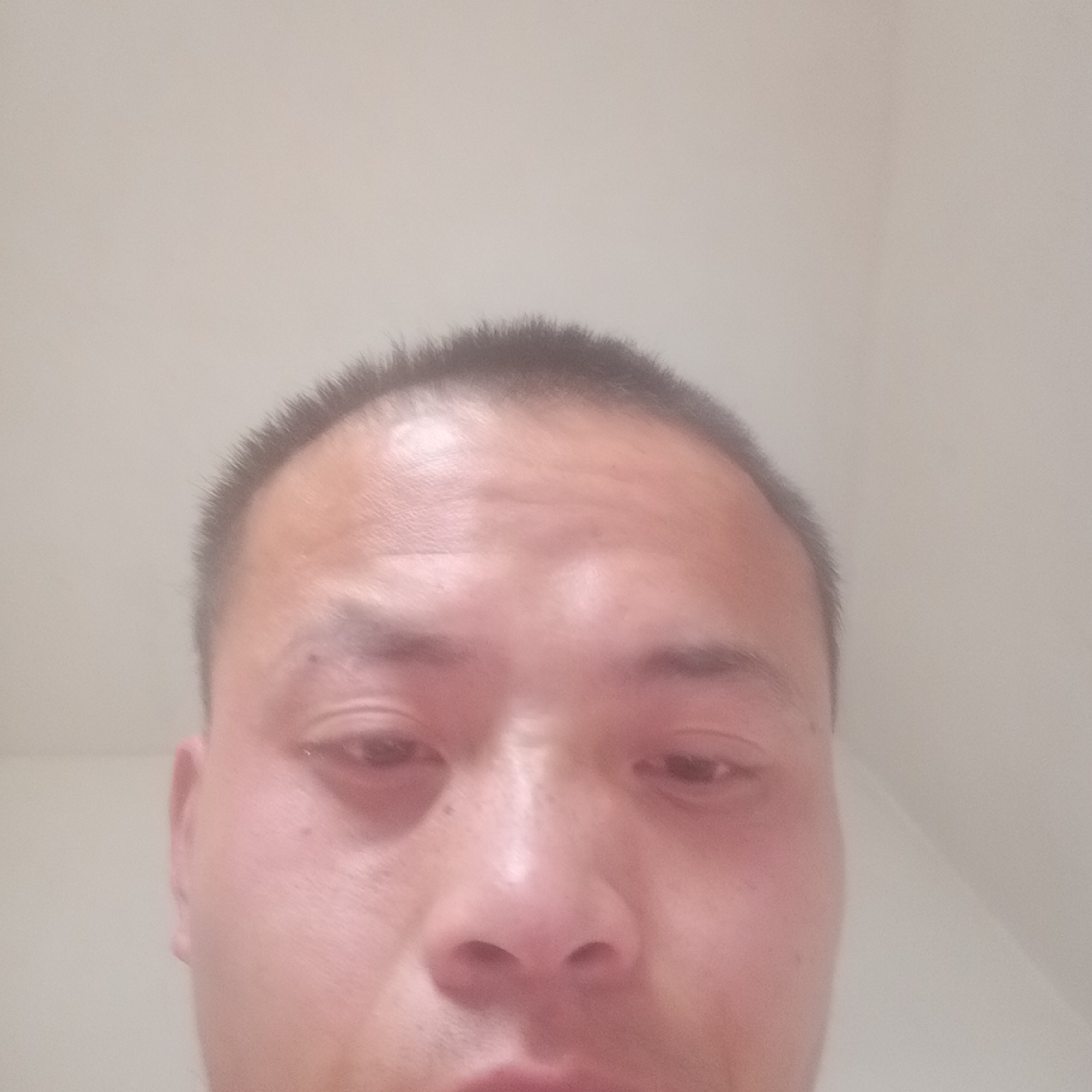 感动演变汉堡的照片