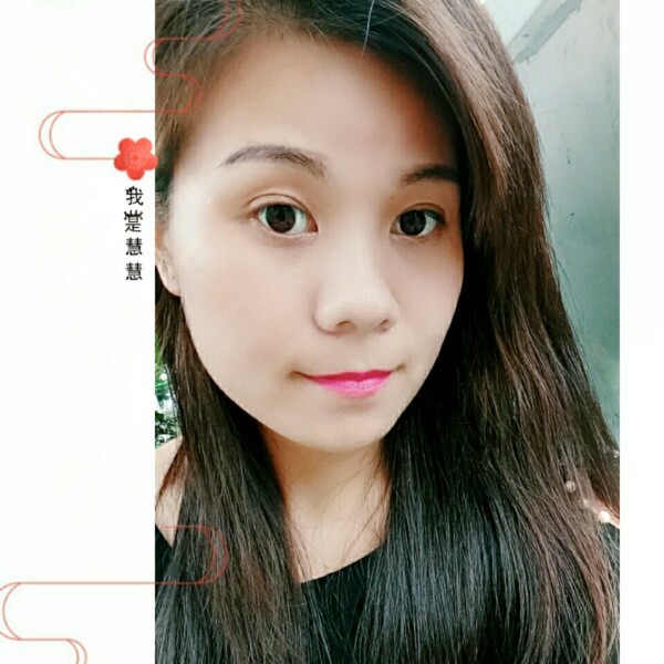 成就刺猬的照片