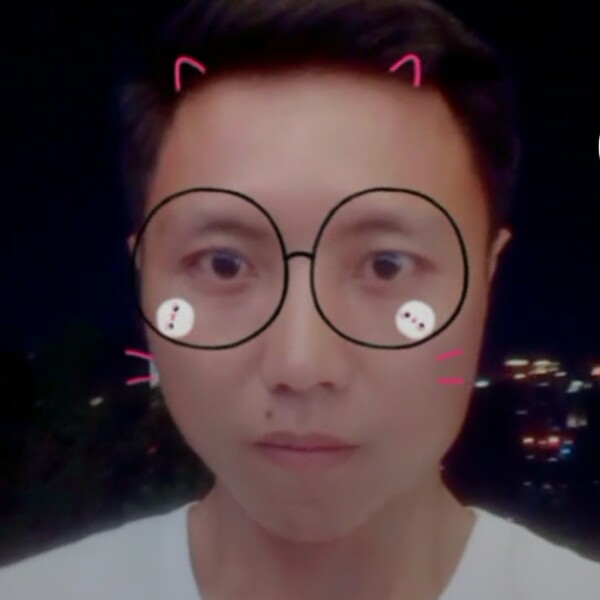 大意就小鸽子的照片