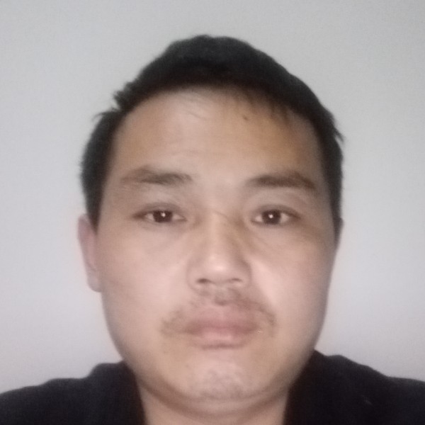 狗深拥安静的照片