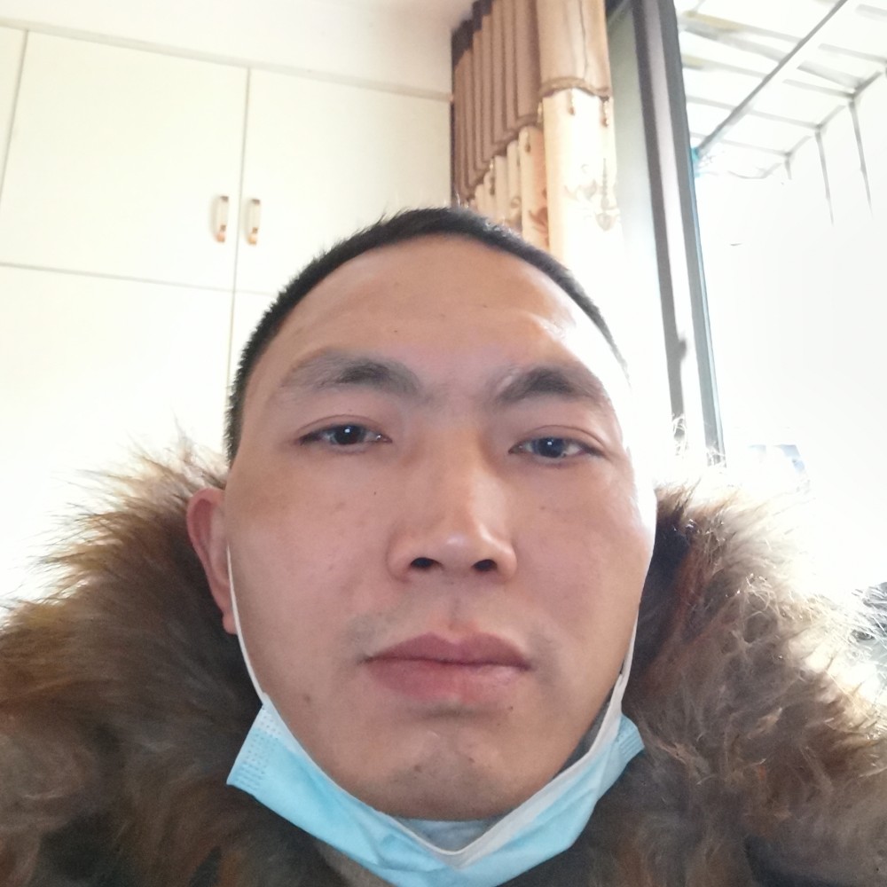 魁梧回首大象的照片
