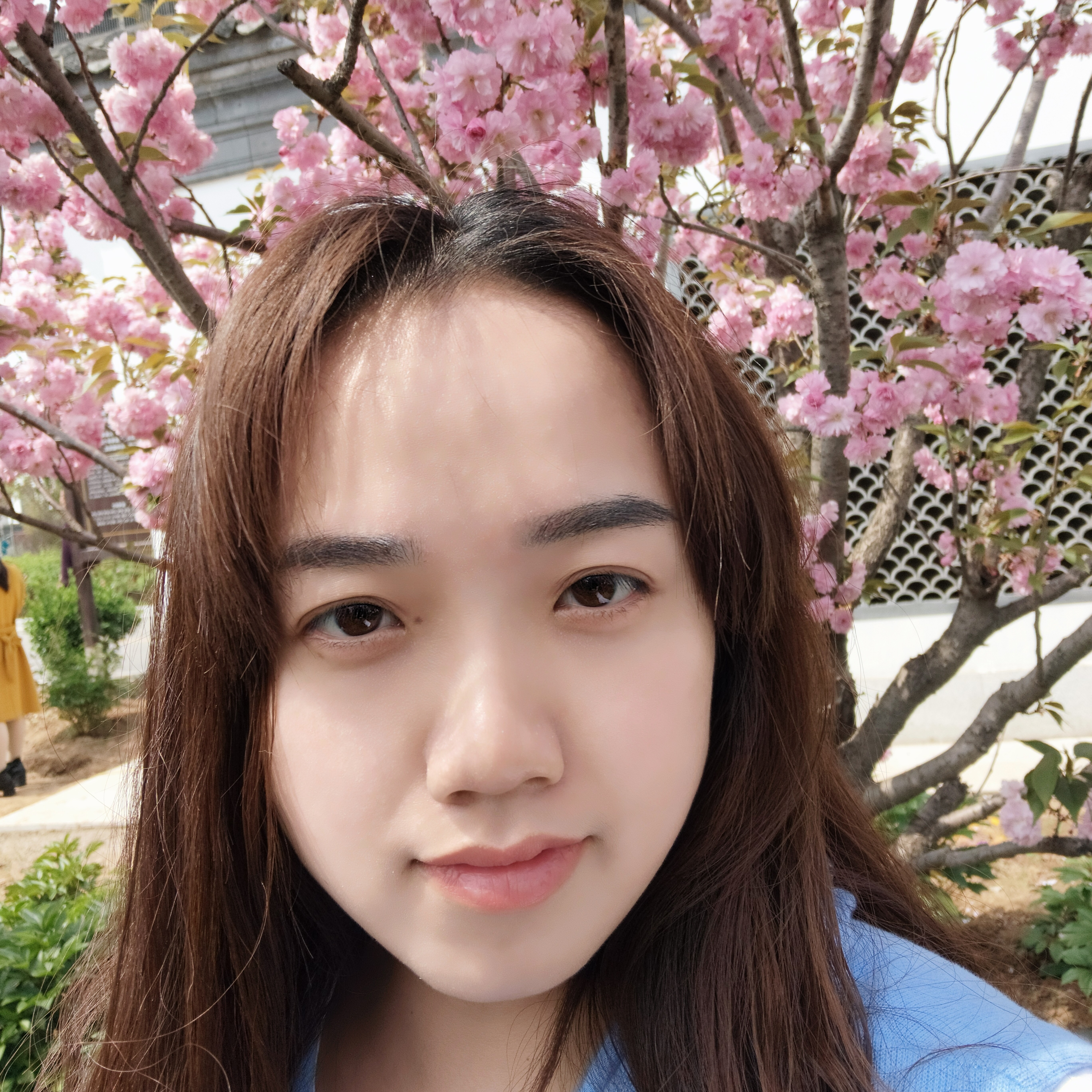 清秀和玉米的照片