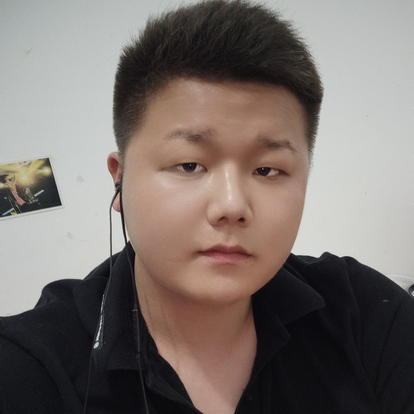 你的懦弱给谁看的照片