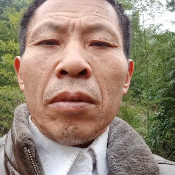 小懒猪多么细腻的照片