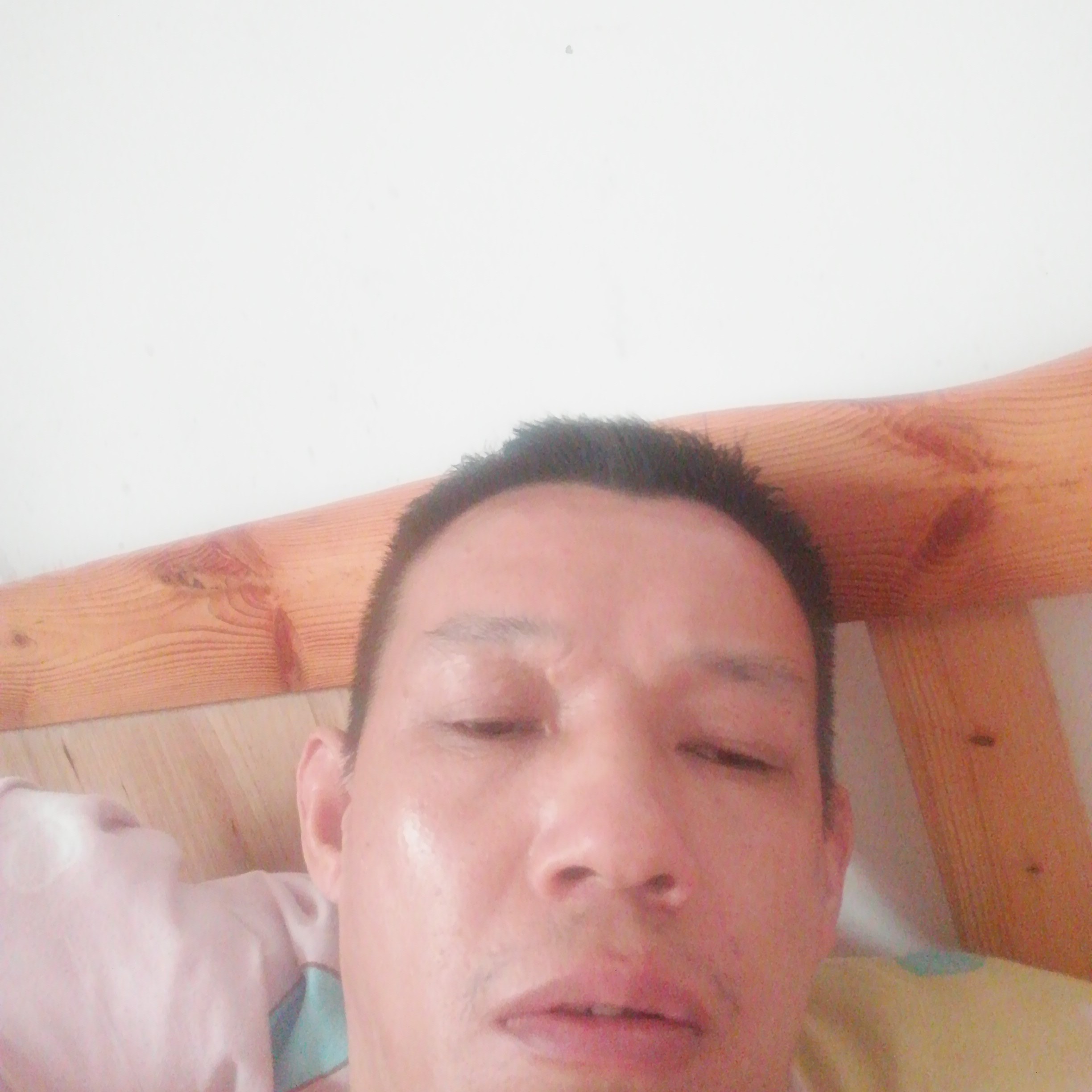 鸭子苦恋激情的照片