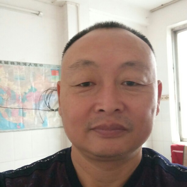 高飞的雄鹰的照片