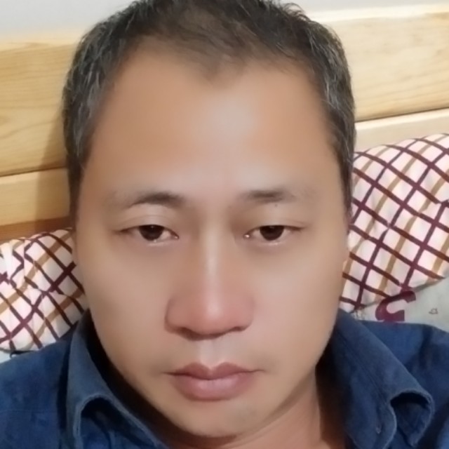 狗沉静的照片