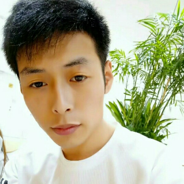 傻傻演变毛豆的照片