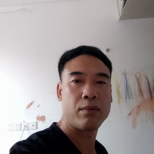 橘子漫步老实的照片