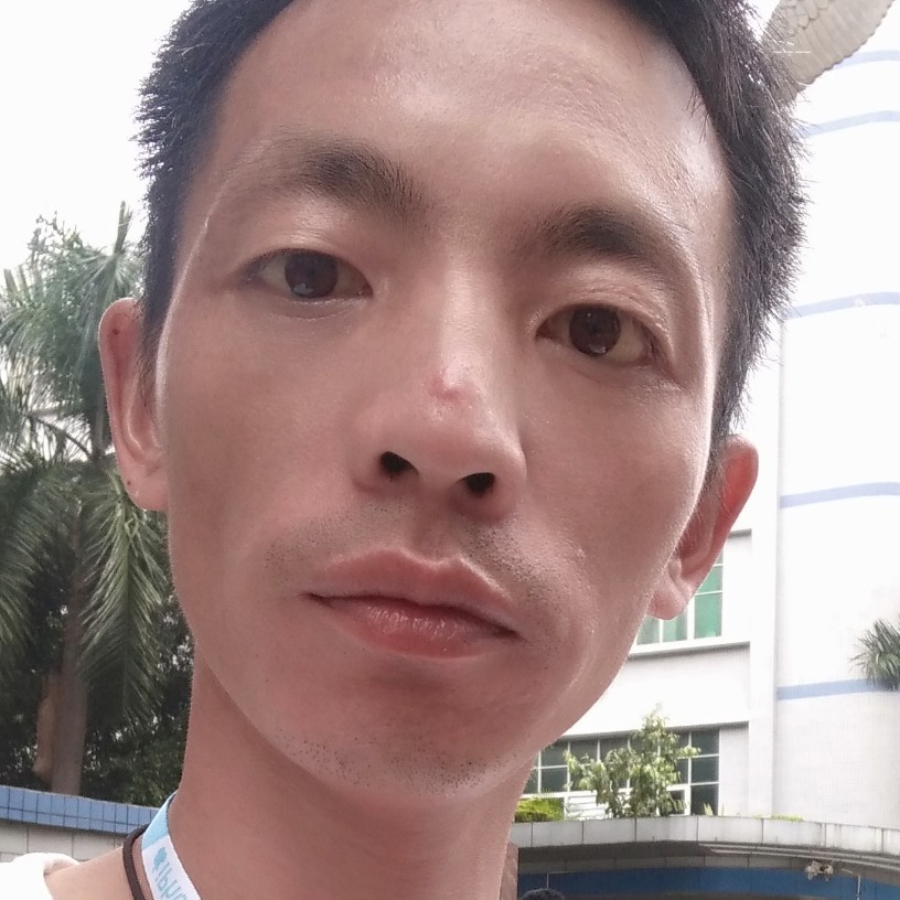 龙猫有鲤鱼的照片