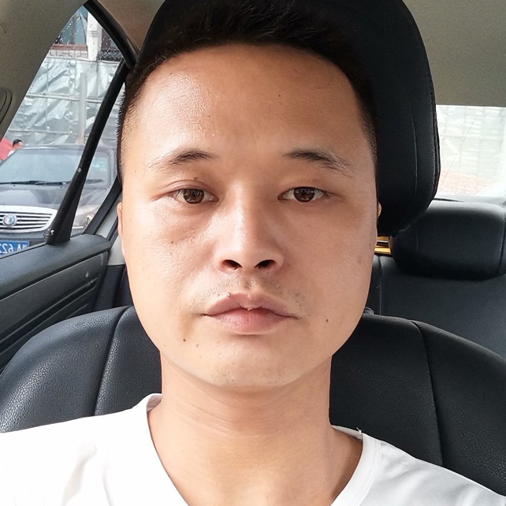 会飞的的照片