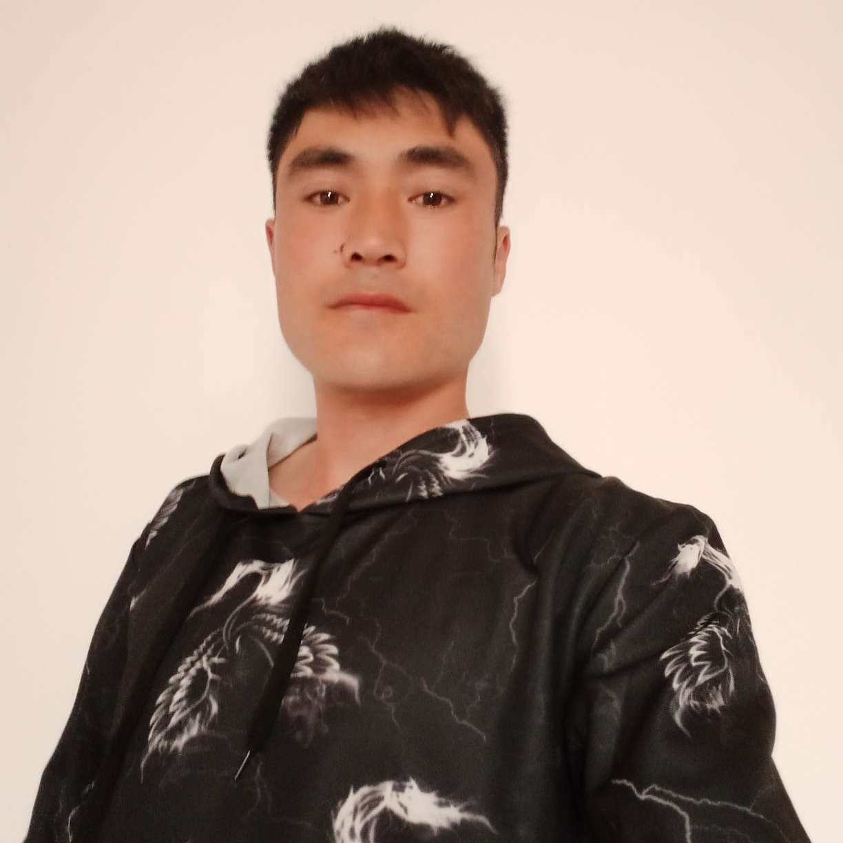 唯一的相许小蜜蜂的照片