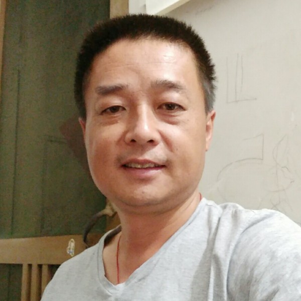含羞草朴实的照片