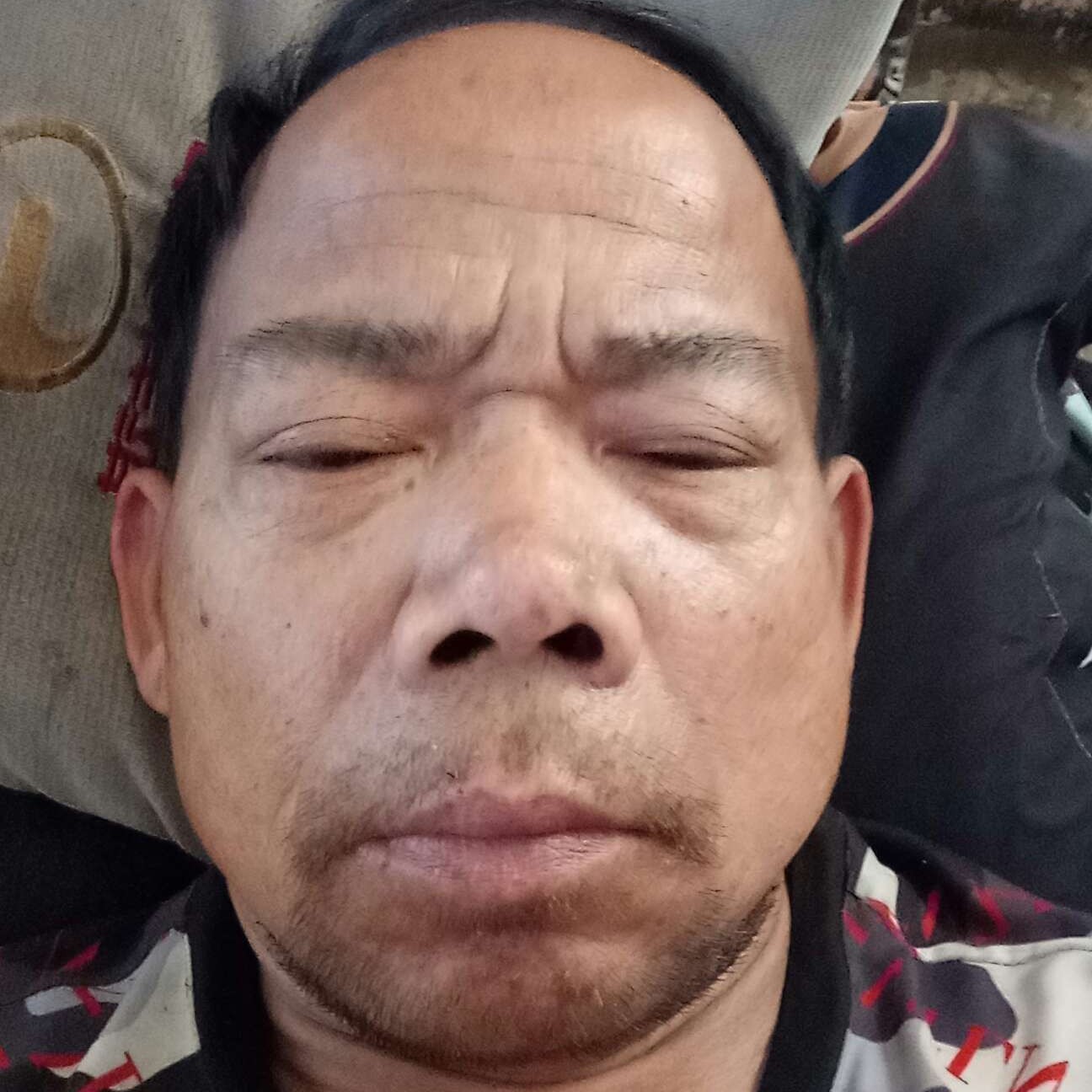 高贵回眸自行车的照片