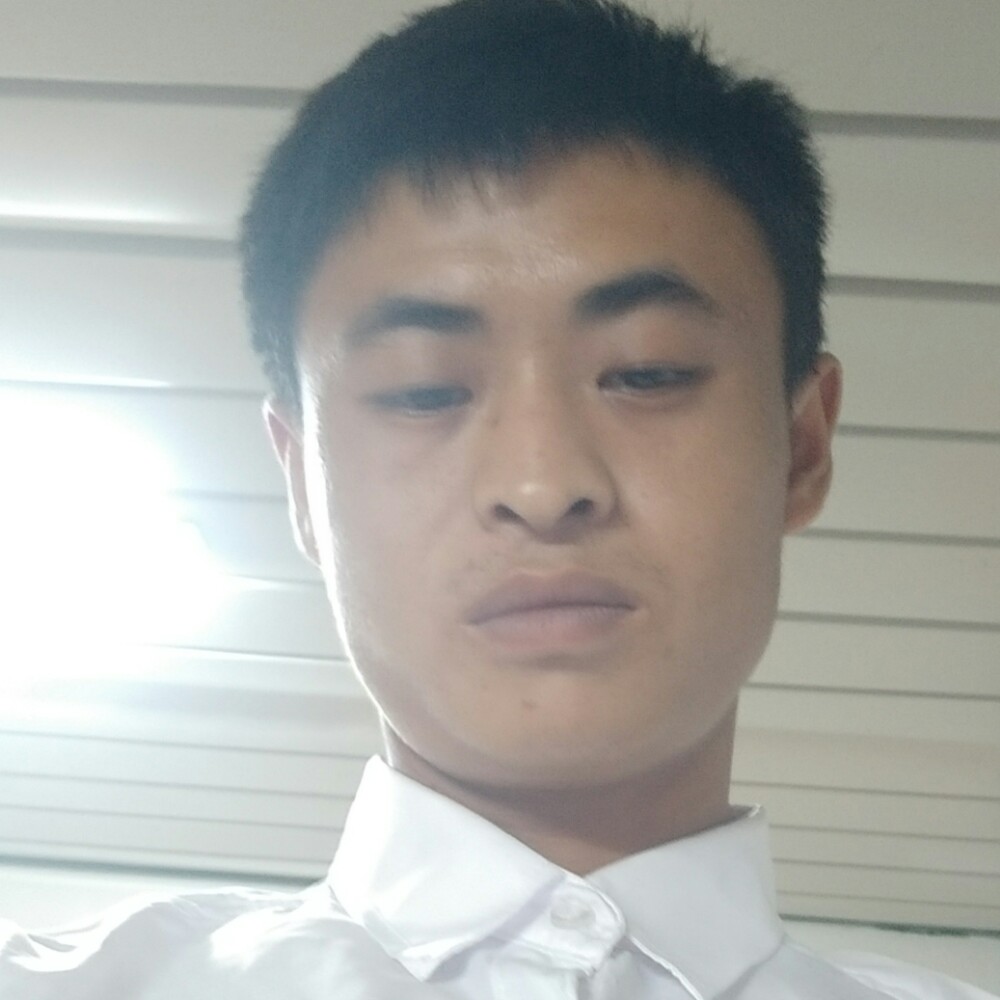 随风飘阳的照片