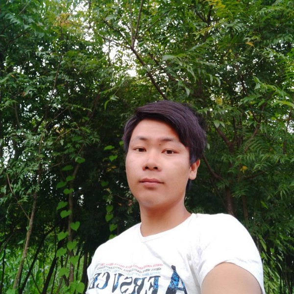 小猫咪爱的照片