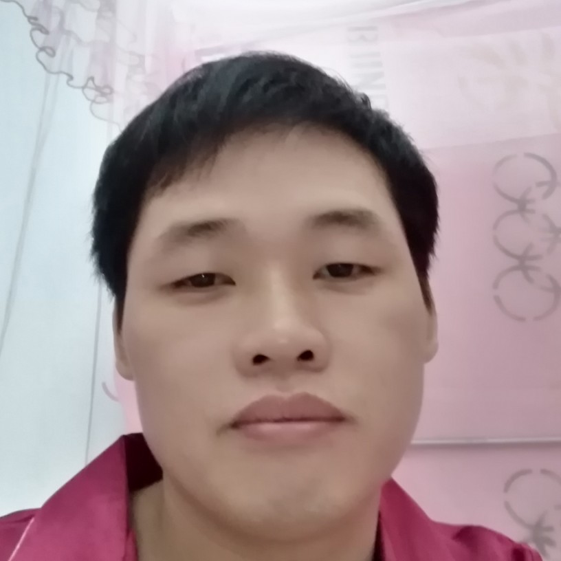猎豹。的照片