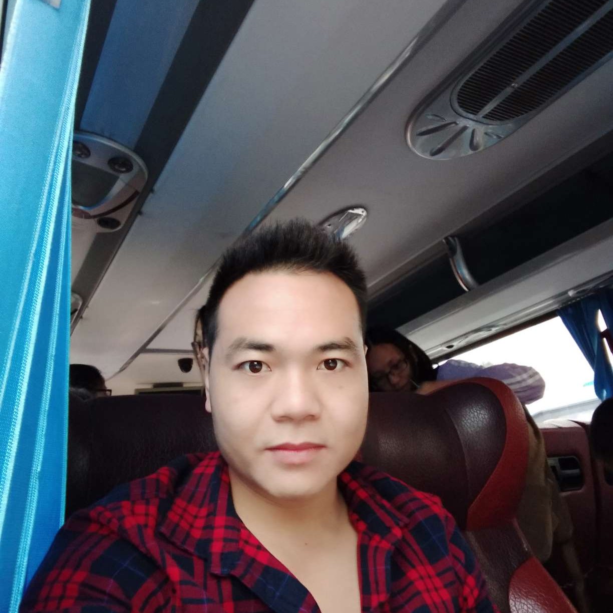 积极向洋葱的照片