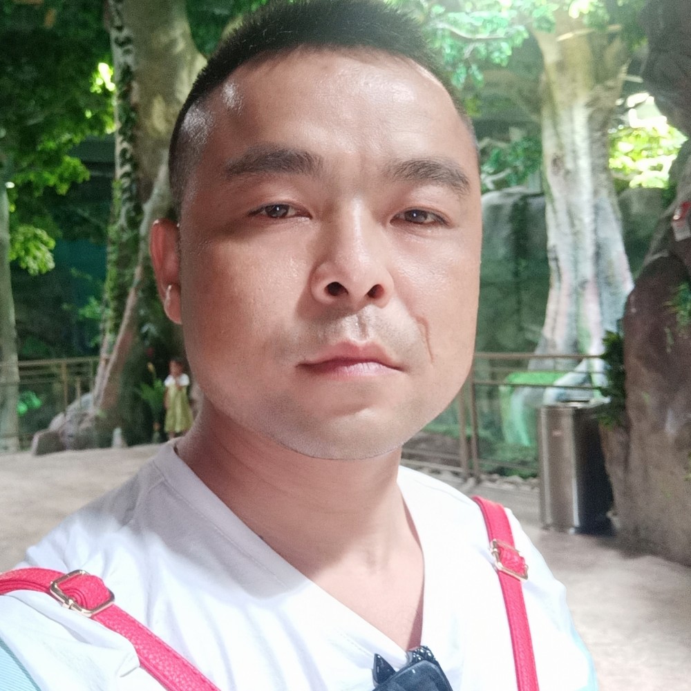 坚定苦恋鸵鸟的照片