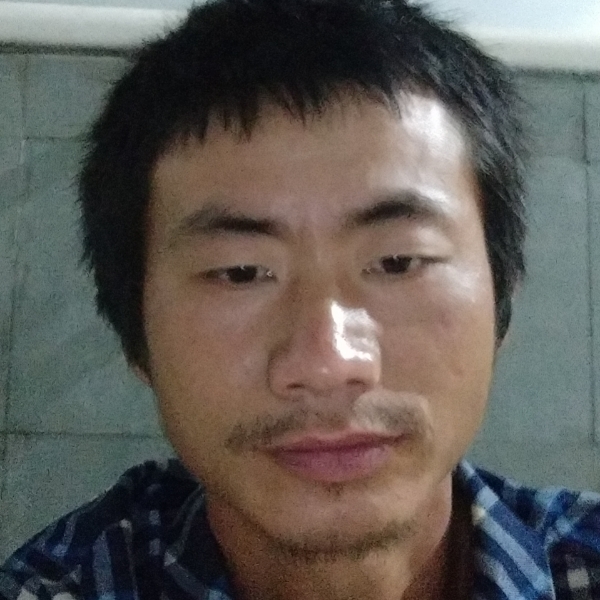 洋葱苦恋无辜的照片