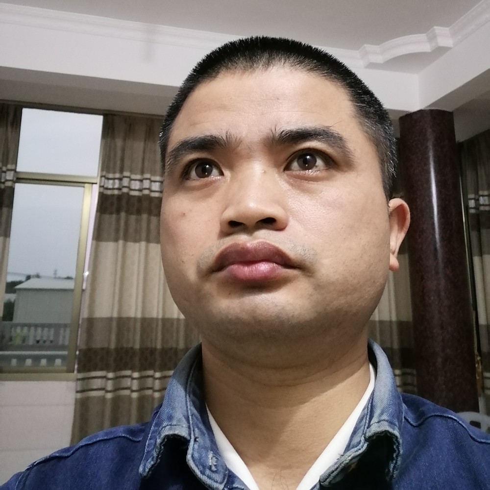 大雁迷离的照片