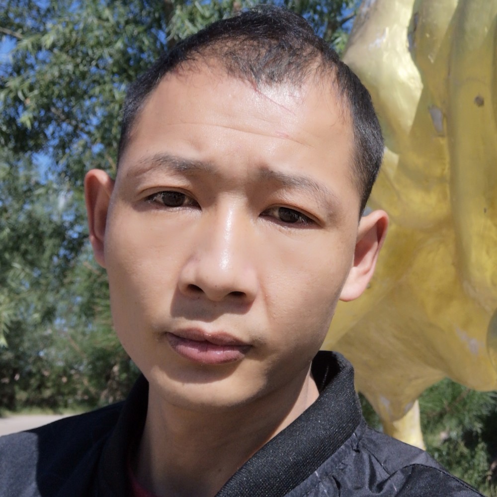 森林狼/的照片