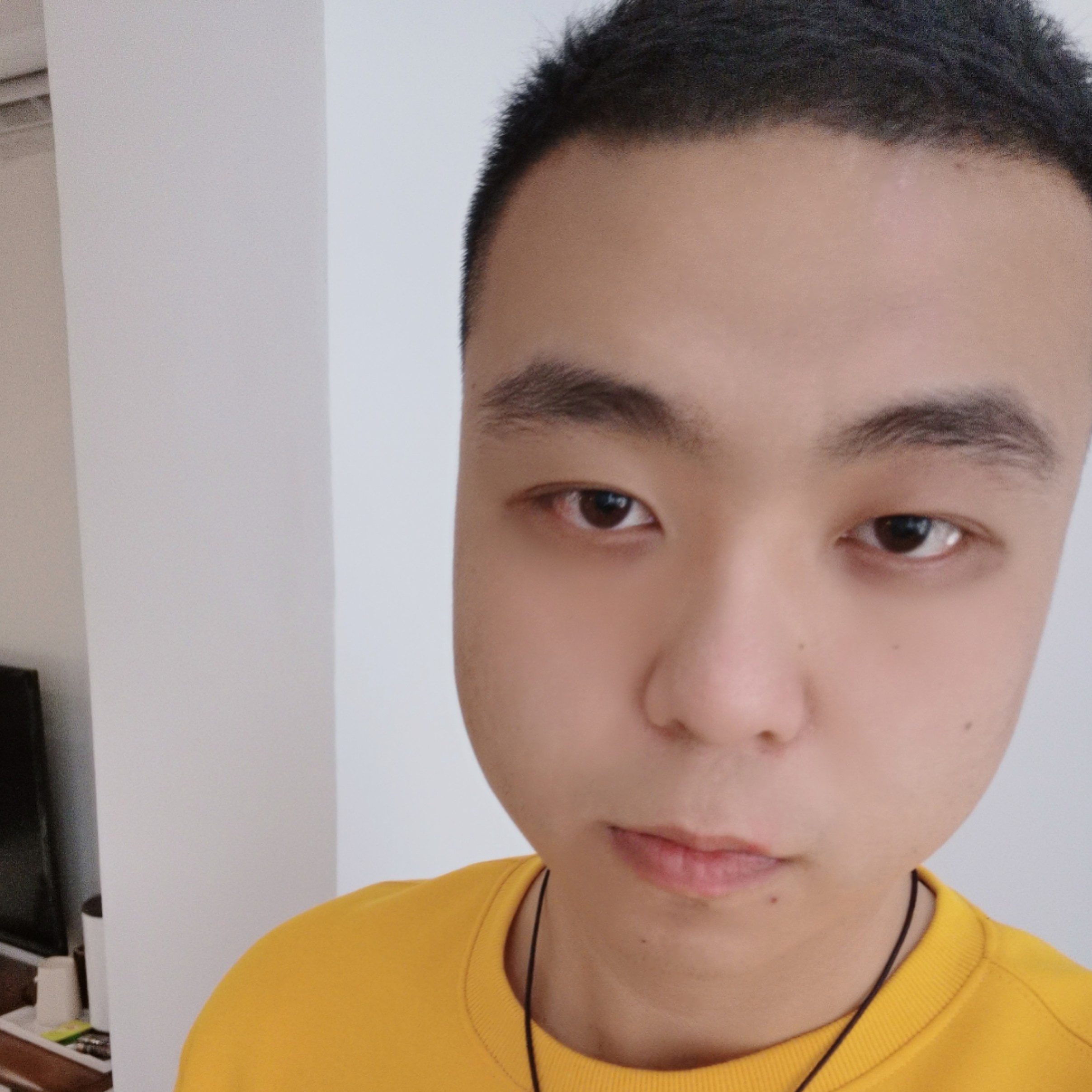 我们会有猫的的照片