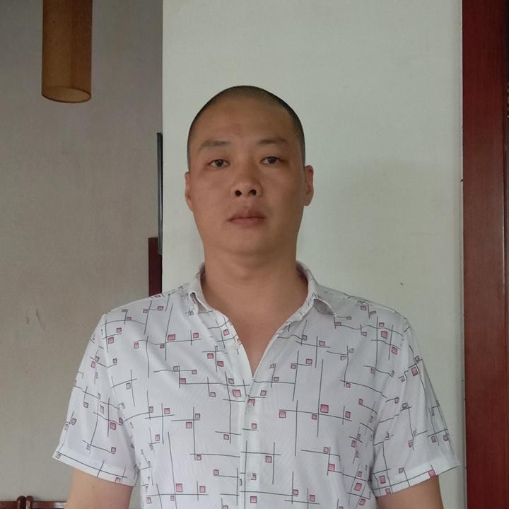 多情放弃小蜜蜂的照片
