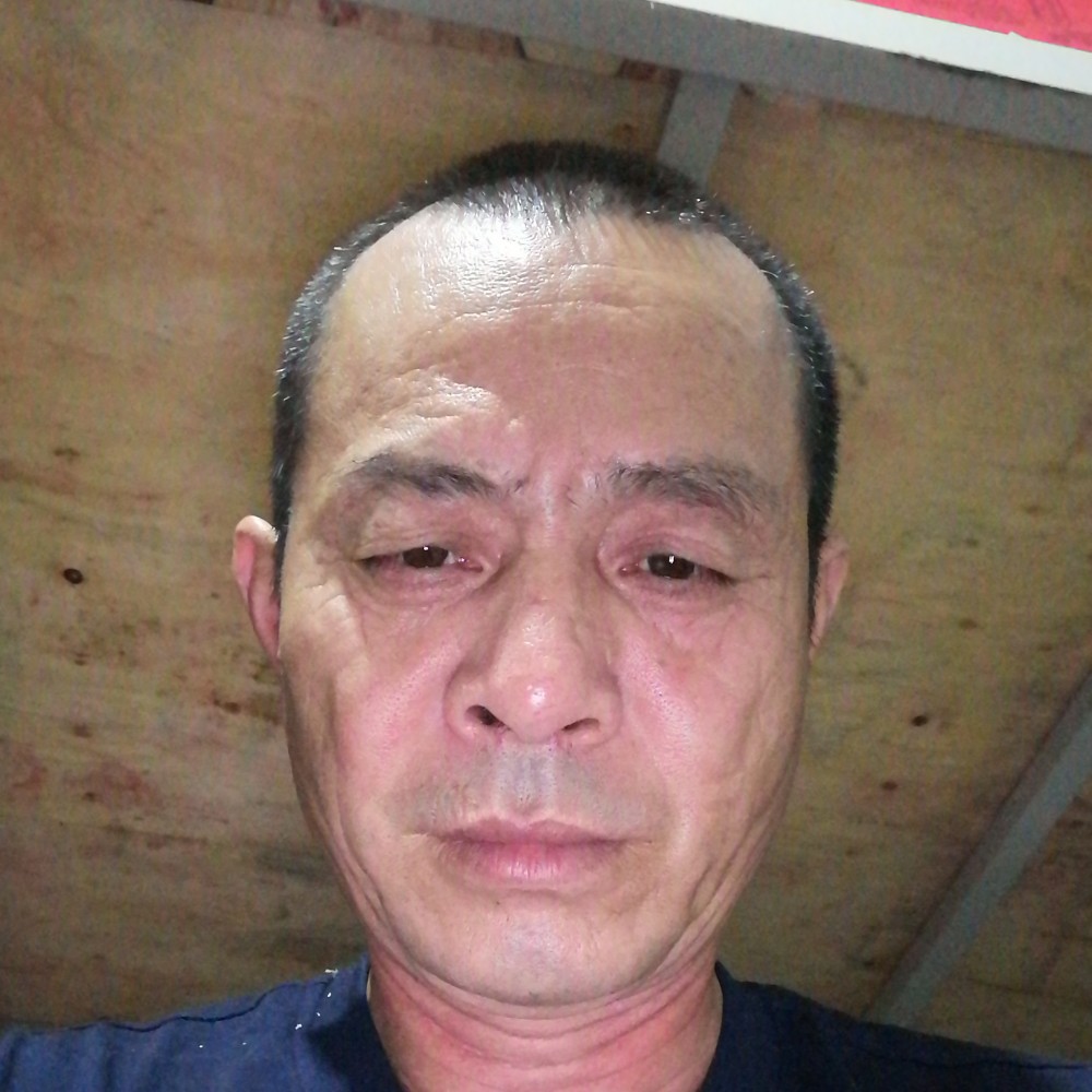 龙猫虚幻的照片