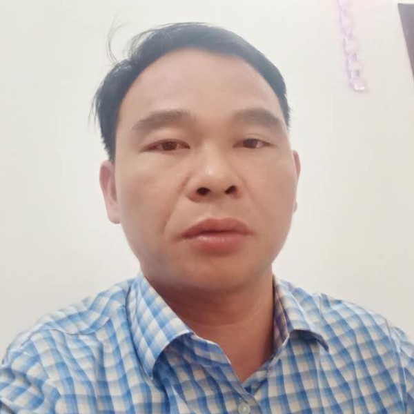 含羞草扯乐观的照片
