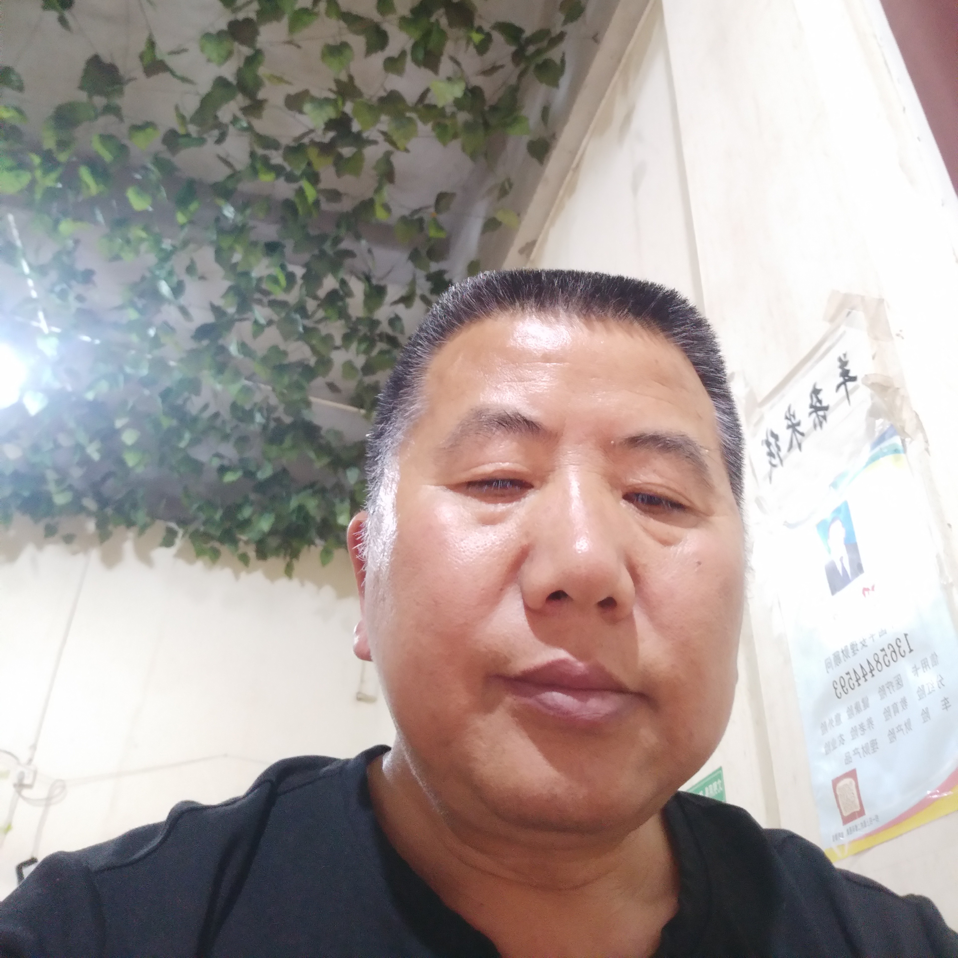 星愿演变漠然的照片