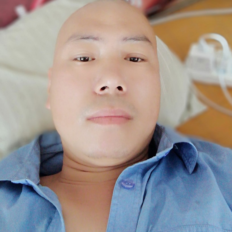 自由的太阳的照片