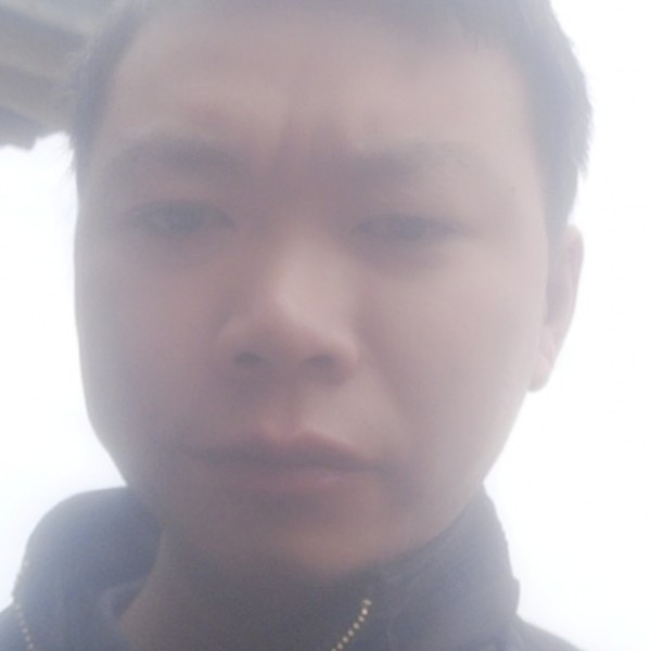 香菇拾忆现实的照片